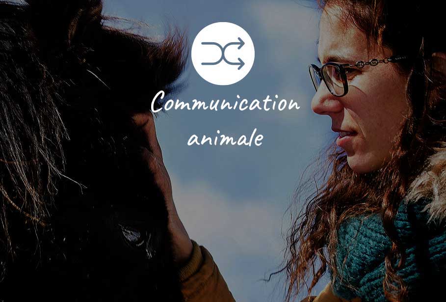 Communication animale PRÉ Arion